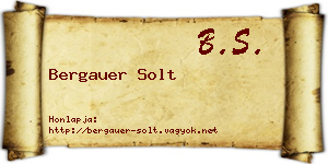 Bergauer Solt névjegykártya
